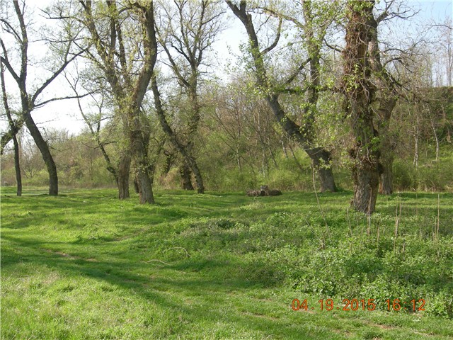 arčilend